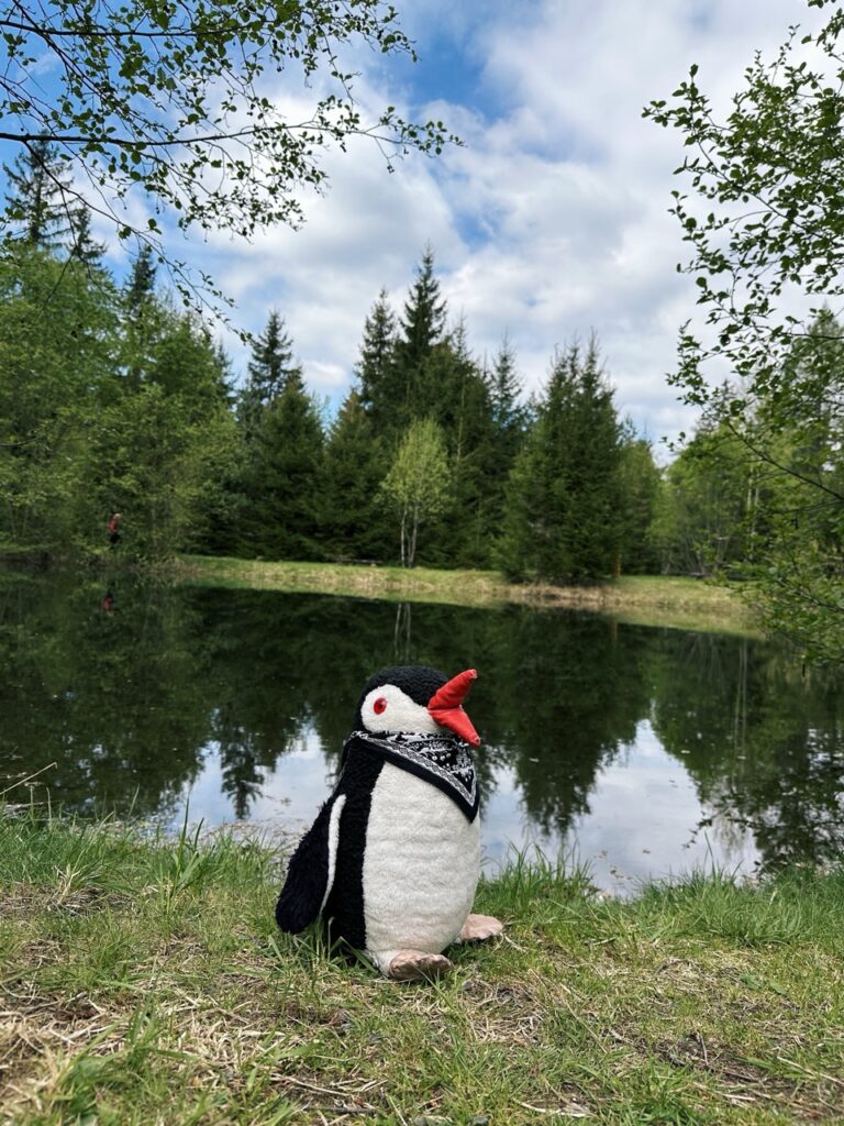 Skamzen pribylia Slovakia