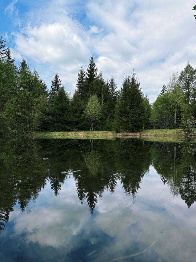 Skamzen pribylia Slovakia