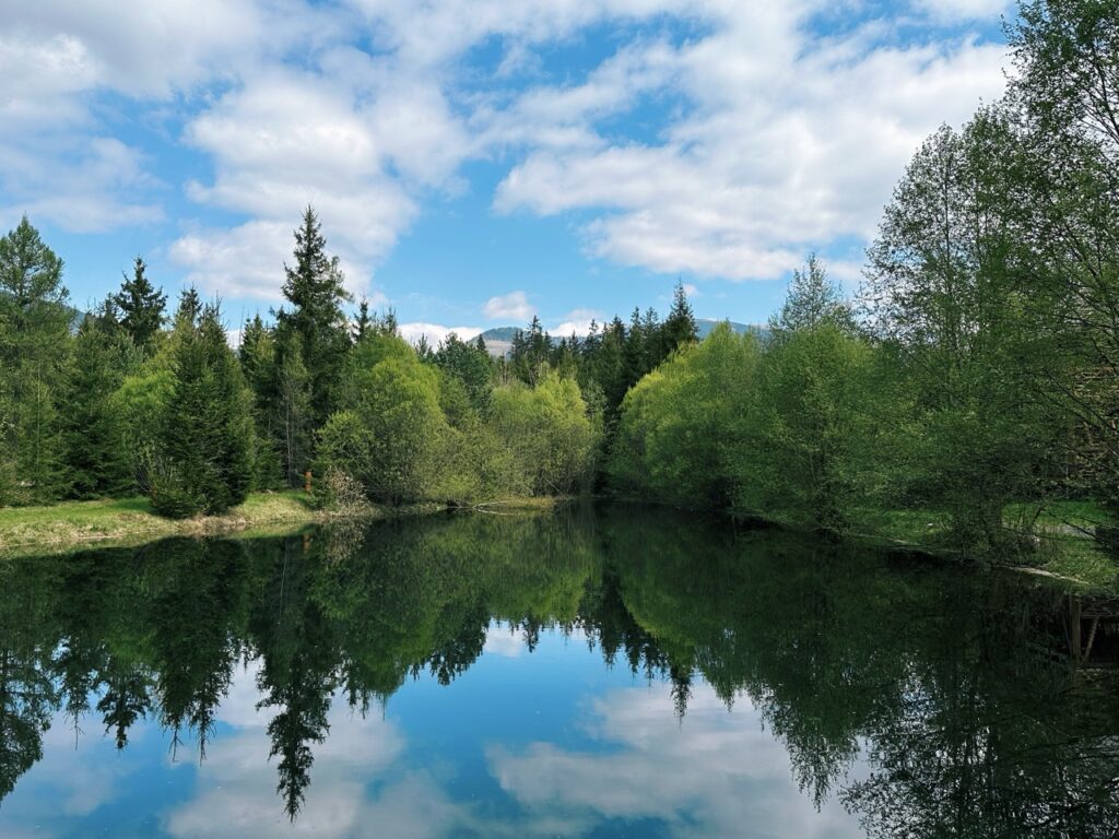 Skamzen pribylia Slovakia