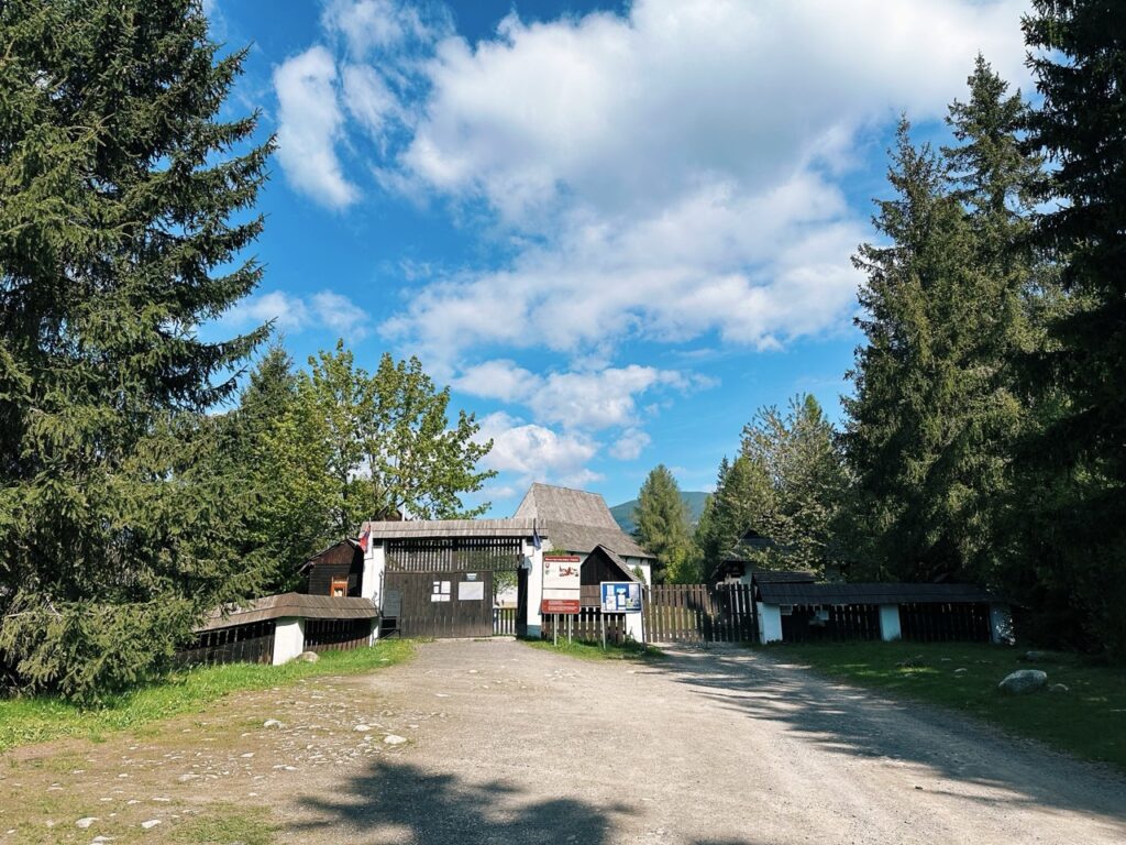 Skamzen pribylia Slovakia