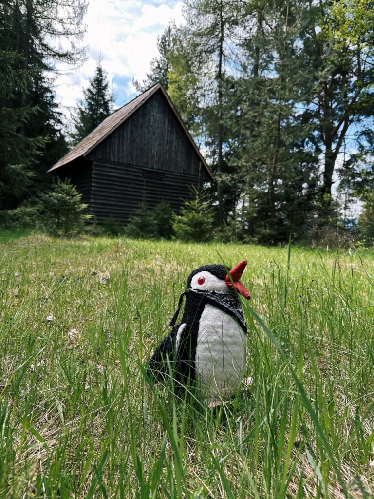 Skamzen pribylia Slovakia