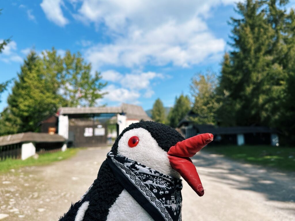 Skamzen pribylia Slovakia