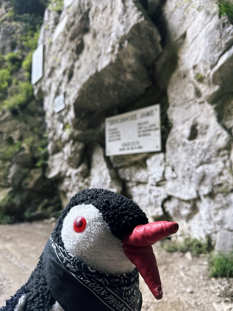 Skocjan cave slovenia