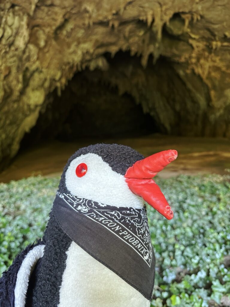 Skocjan cave slovenia
