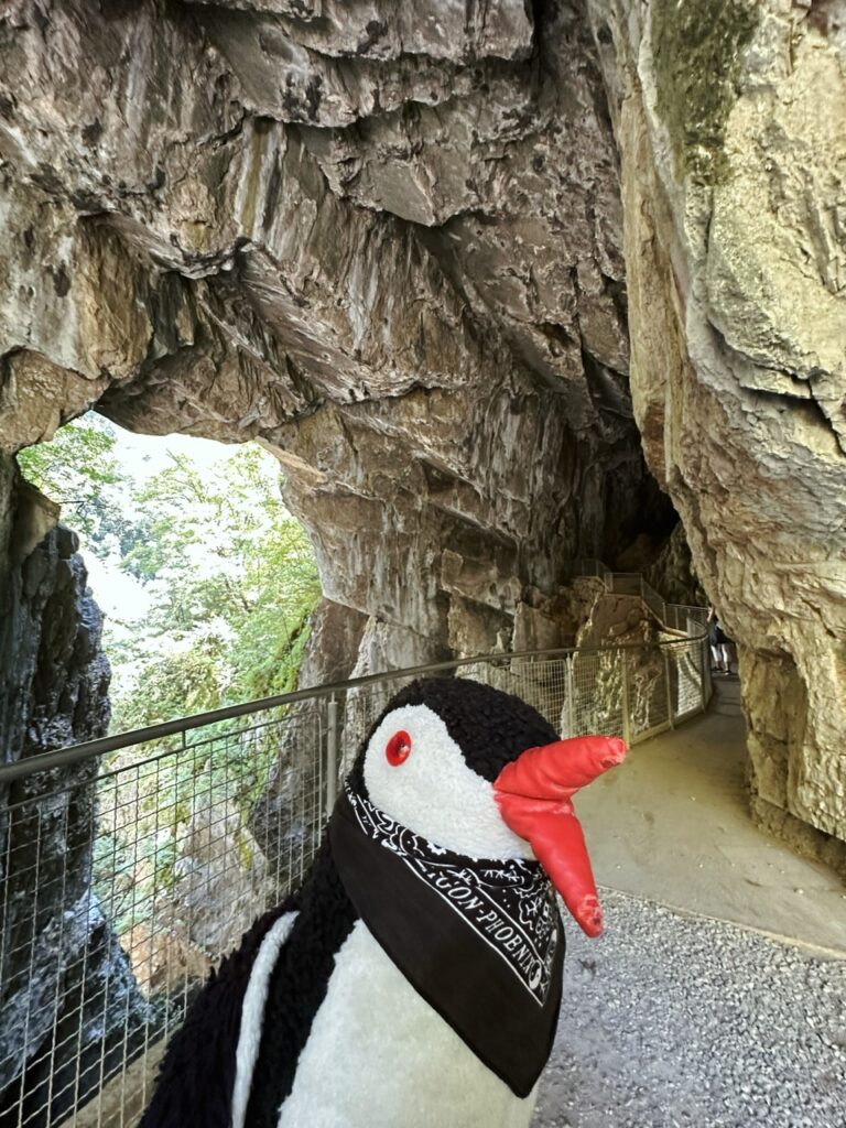 Skocjan cave slovenia