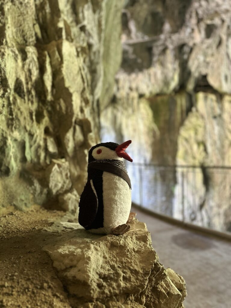 Skocjan cave slovenia