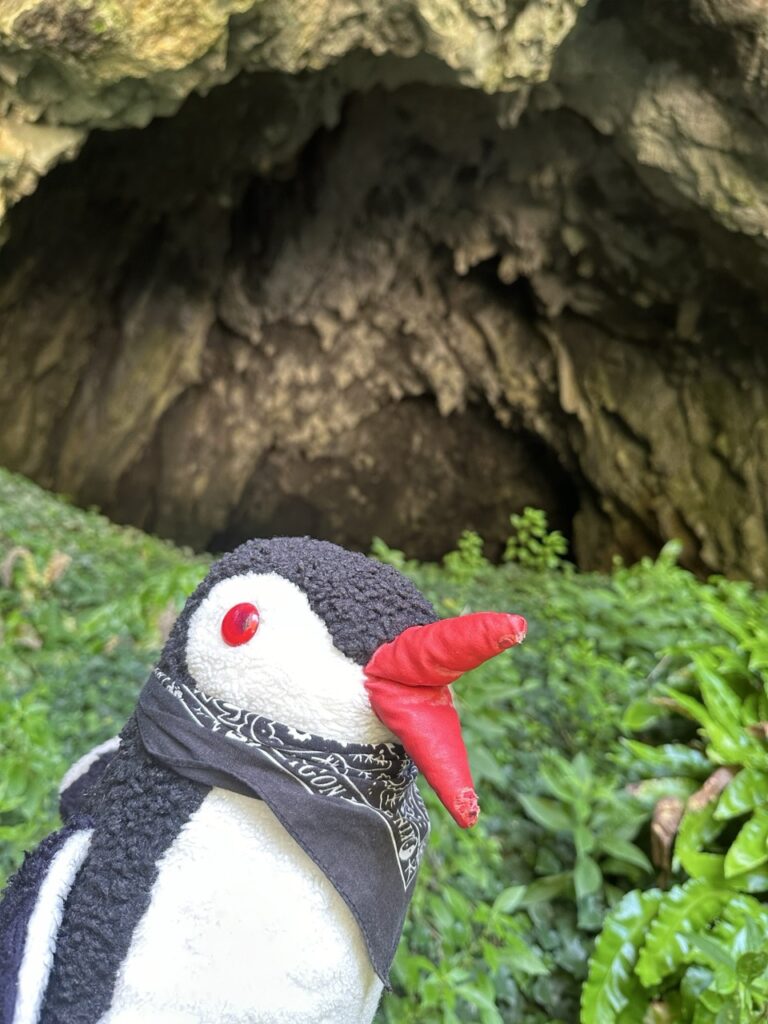 Skocjan cave slovenia