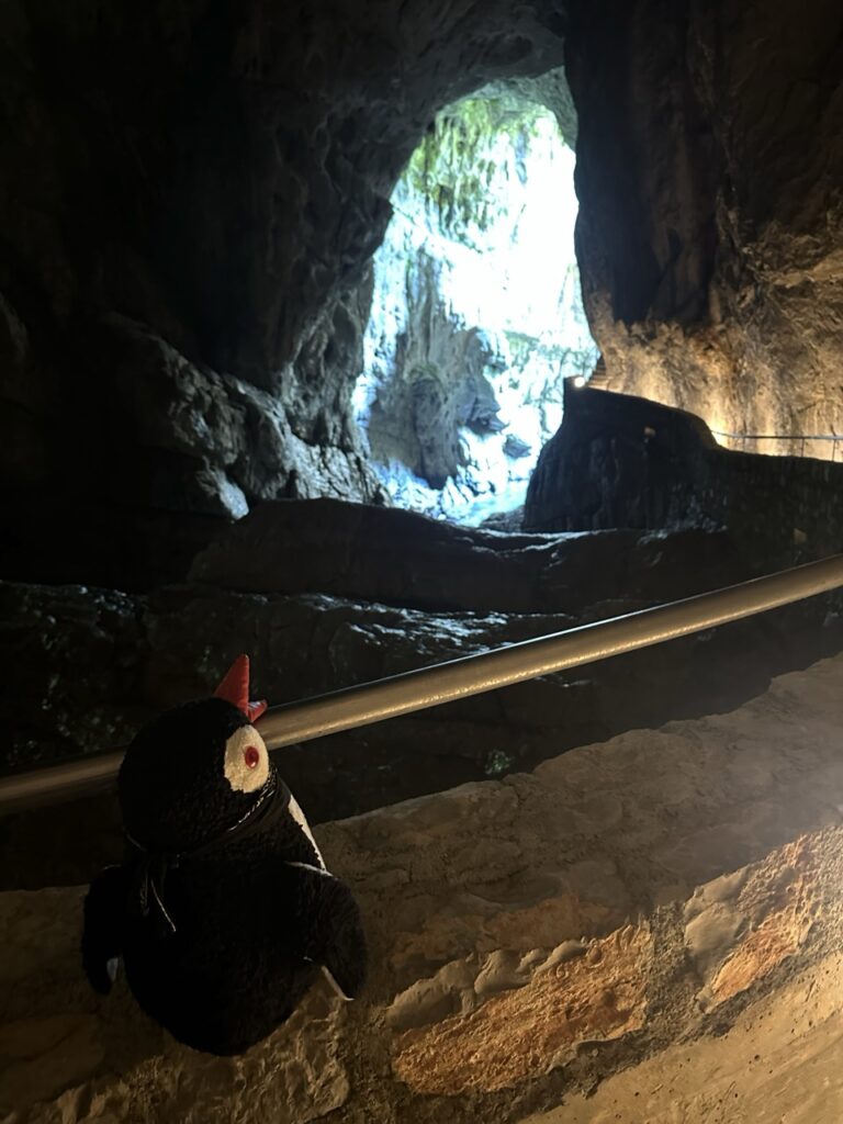 Skocjan cave slovenia