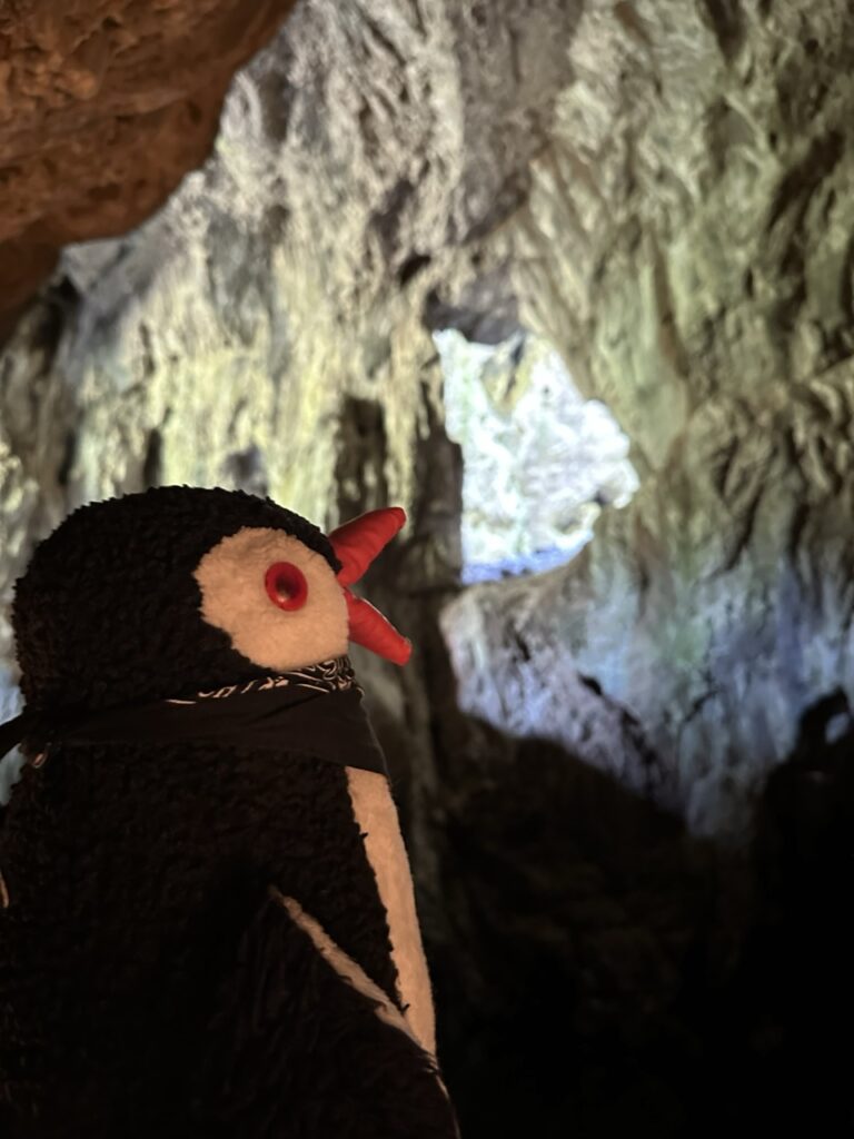 Skocjan cave slovenia