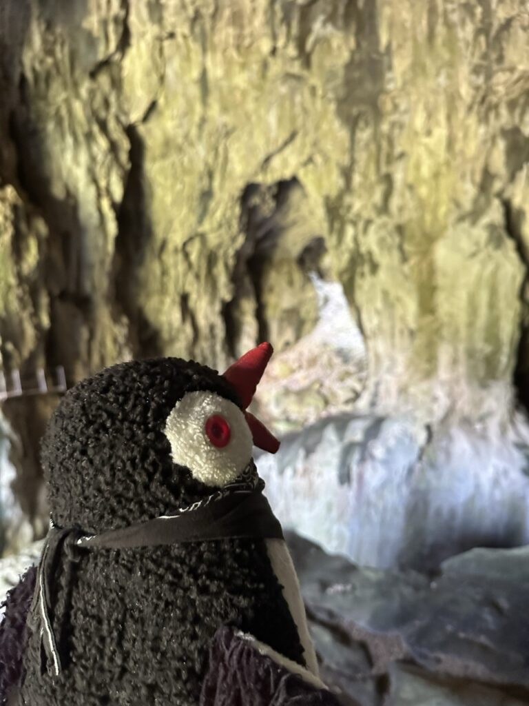 Skocjan cave slovenia