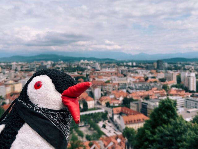 Restaurants To Try (or Not) In Slovenia