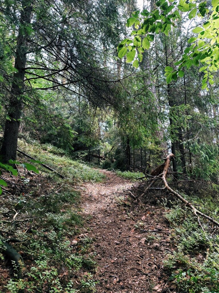 Smolnik slovakia