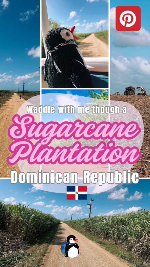 The Sugar Plantations of the Dominican Republic – follow Lifeguin on Pinterest
