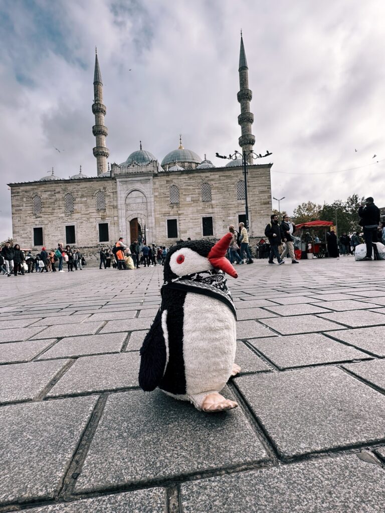 Suleymaniye mosque Istanbul