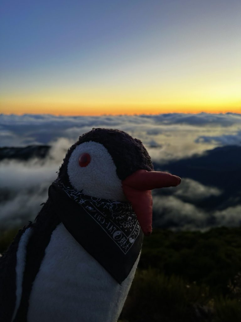 Sunrise at Miradouro do Juncal