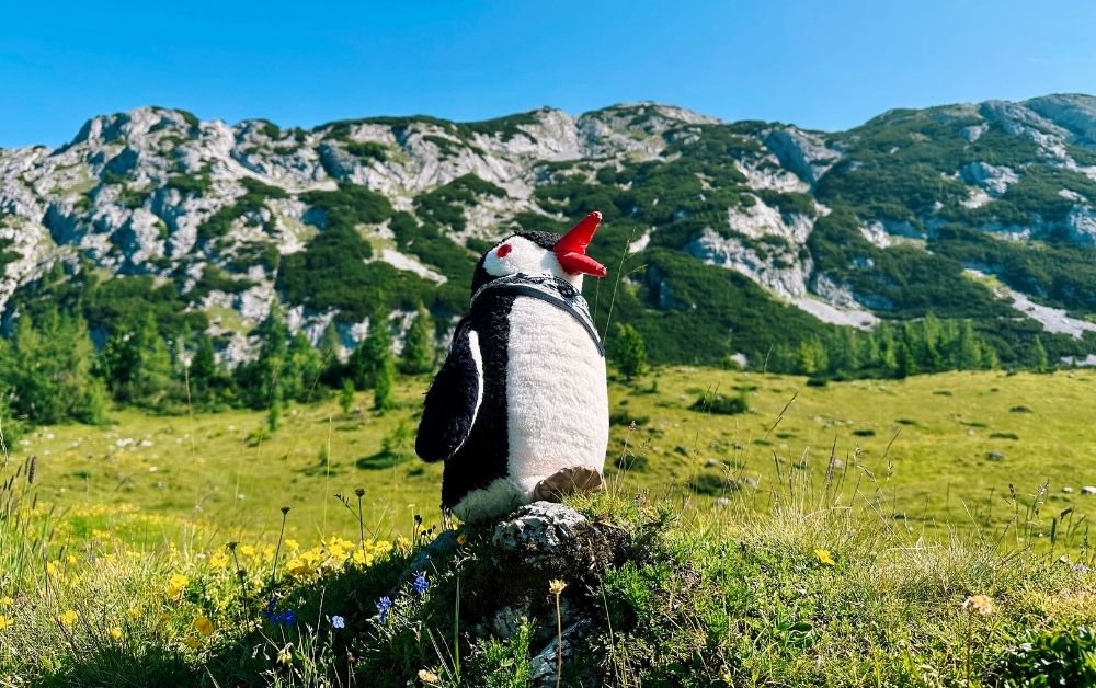 Tauplitzalm hike austria featured