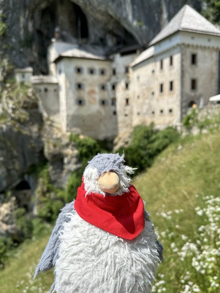A plush penguin wearing a red bandana stands before Predjama Castle