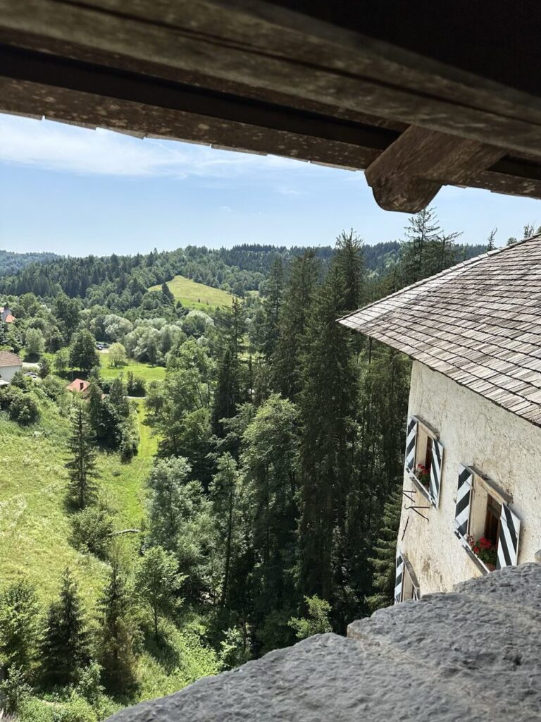 View of a green valley from a window at Predjama Castle