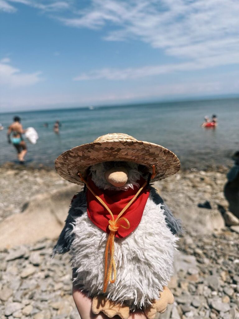 A plush penguin wearing a straw hat and red bandana on a rocky beach