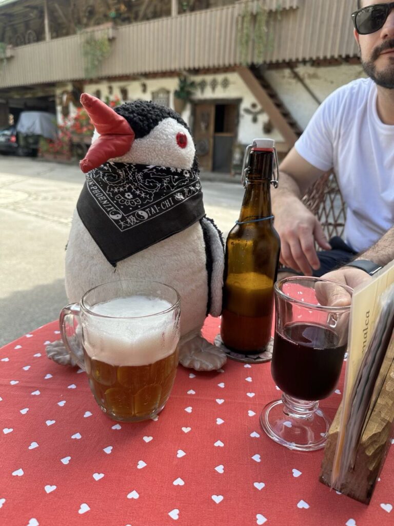 A plush penguin wearing a bandana sits at a table with drinks
