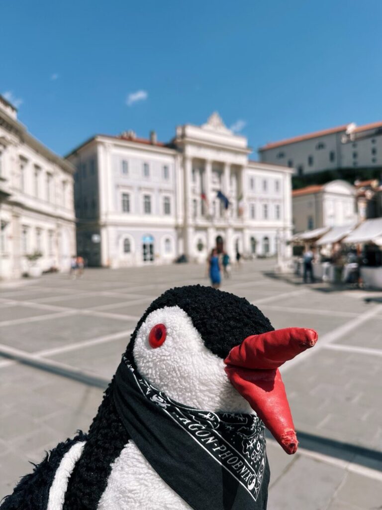A plush penguin toy stands in the center of a sunny Piran square