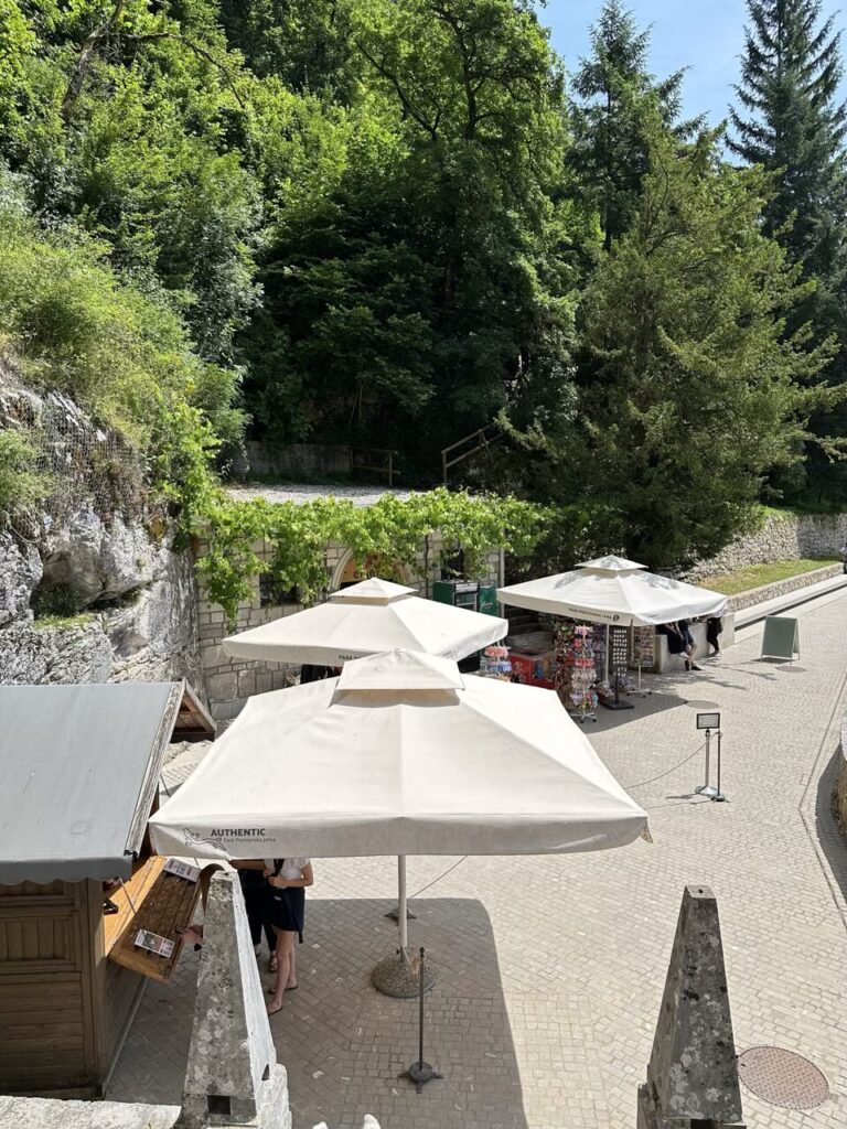 White umbrellas shade a paved outdoor area with small shops near trees