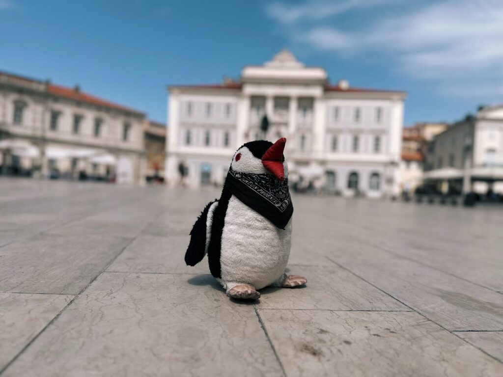 A stuffed penguin toy stands in a sunny square in Piran