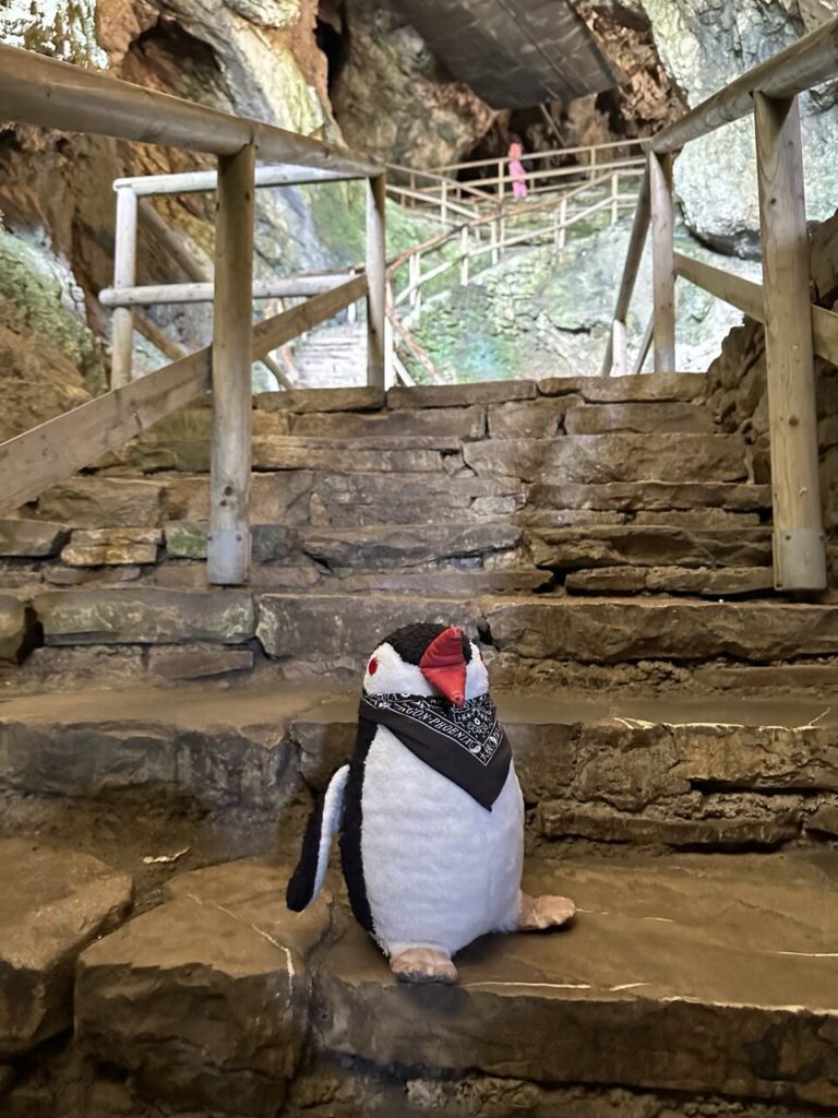 A plush penguin wearing a bandana sits on stone stairs inside Predjama Castle