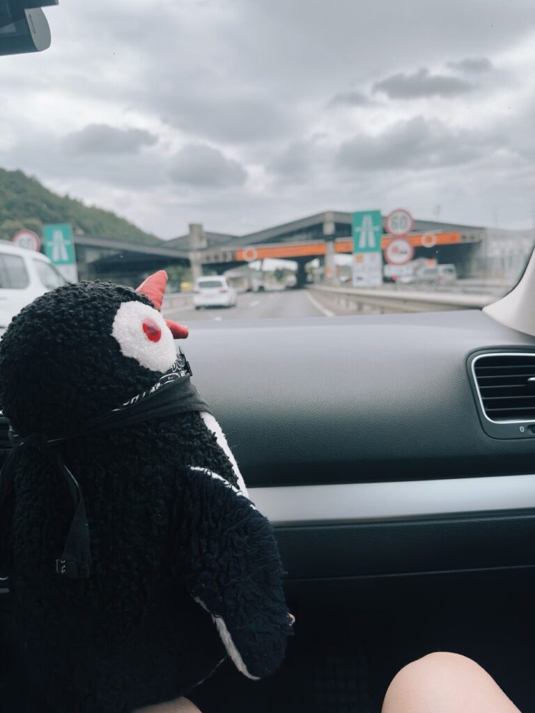 Plush penguin toy sitting on a car dashboard overlooking a highway in Slovenia