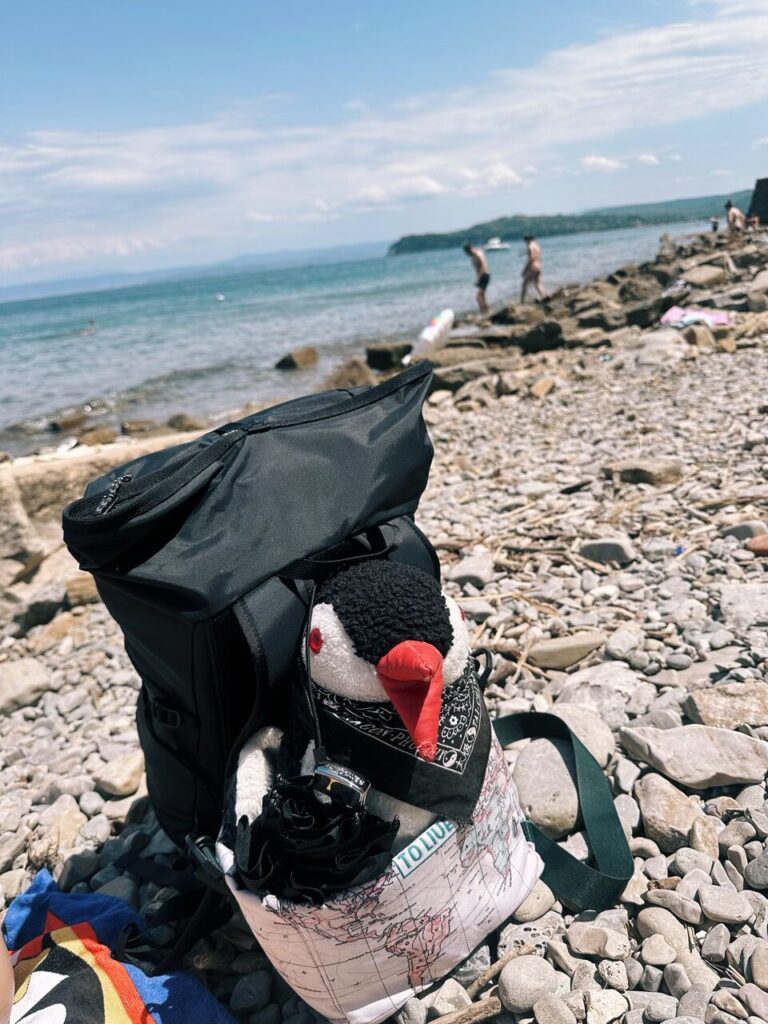 A plush penguin wearing a bandana sits in a backpack on a rocky beach