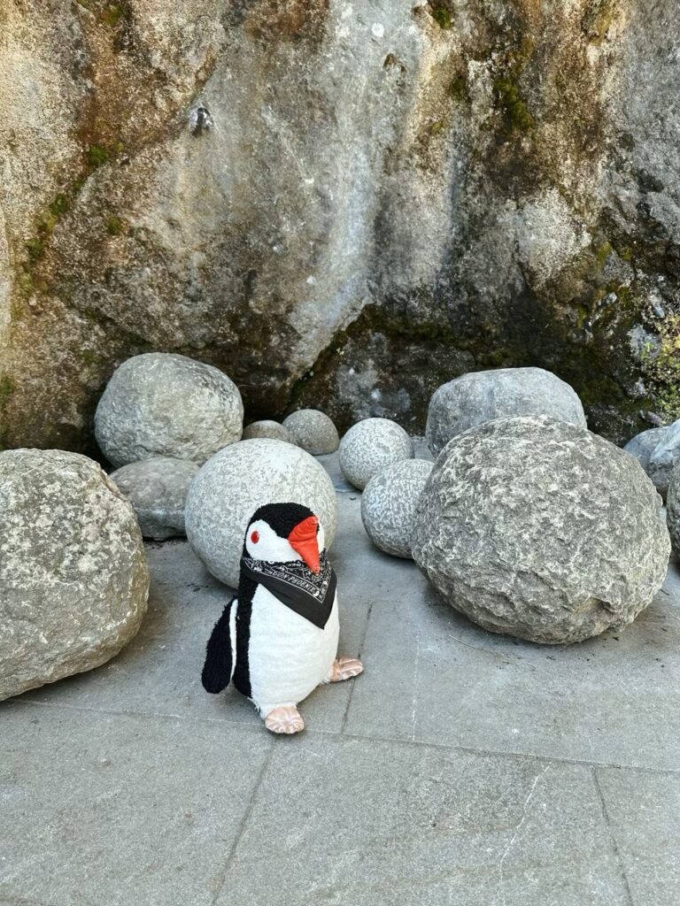 Plush penguin toy Miško stands among large round stones near a rock wall