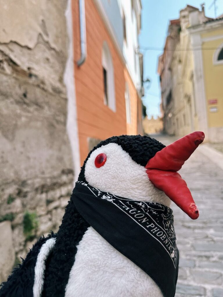 Stuffed penguin toy wearing a bandana on a narrow street in Piran
