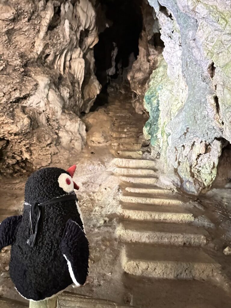 A plush penguin toy faces stone stairs leading into a dark cave