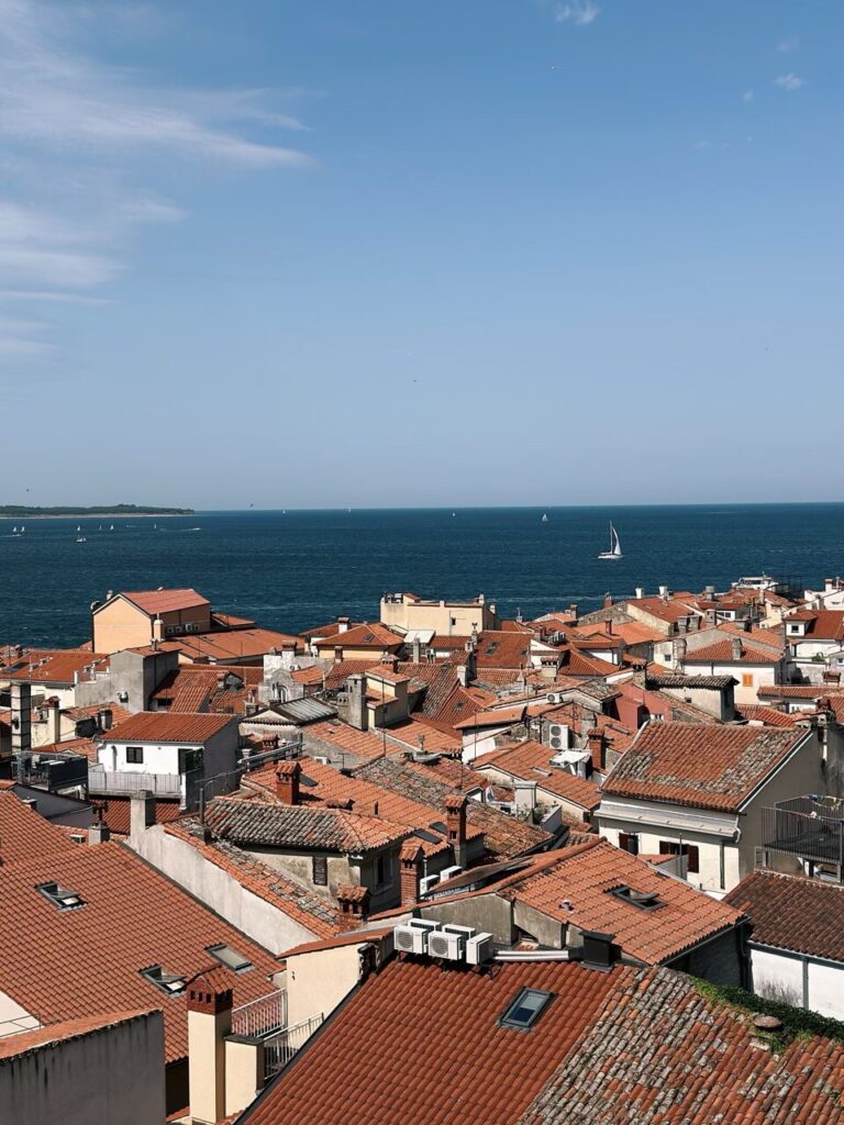 Terracotta rooftops of Piran overlooking the blue Adriatic Sea under a clear sky