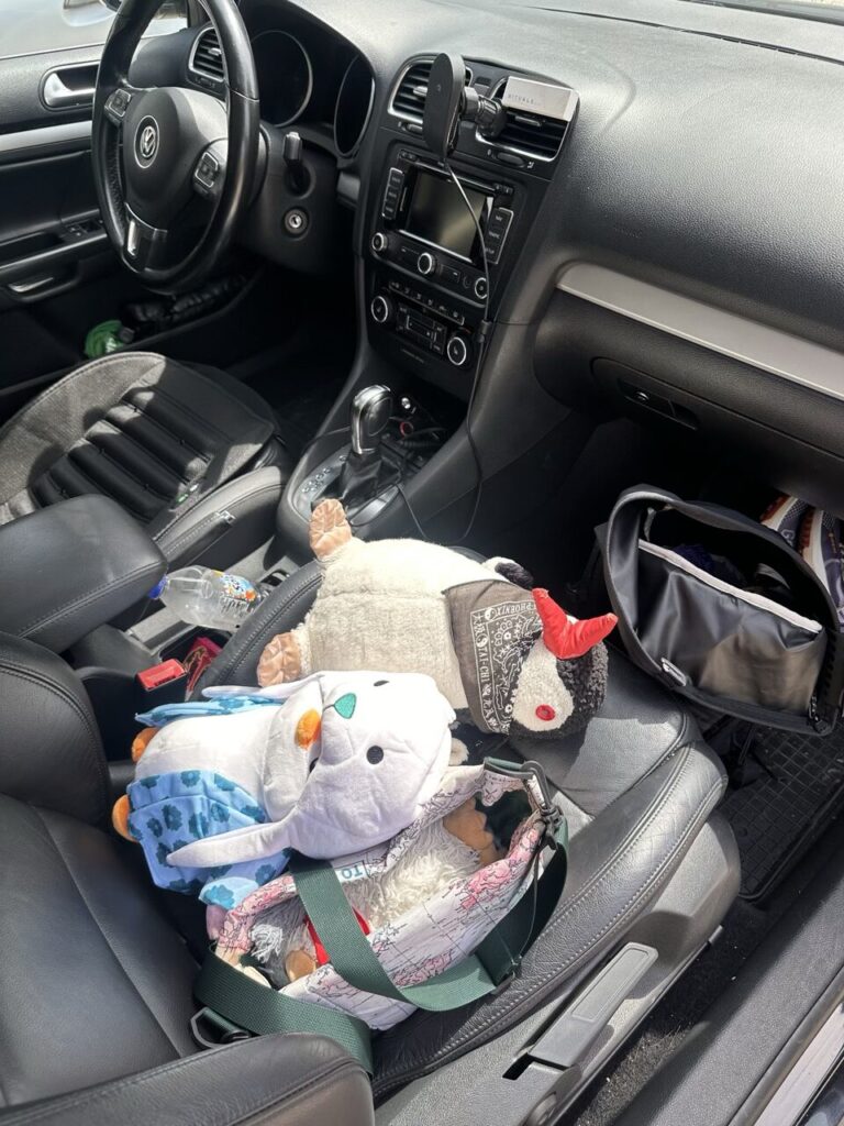Two plush toys and a bag sit on the passenger seat of a car