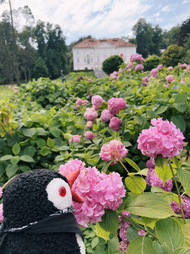Tivoli Park Ljubljana slovenia