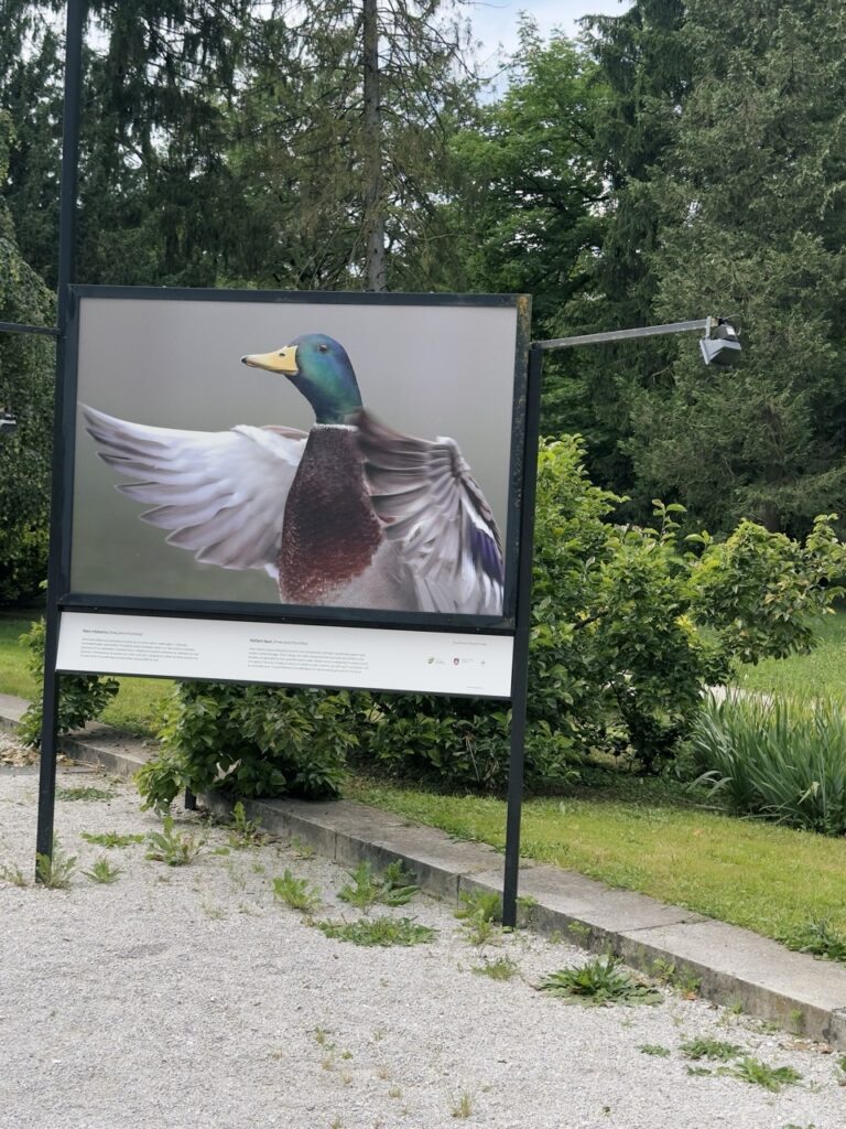 Tivoli Park Ljubljana slovenia