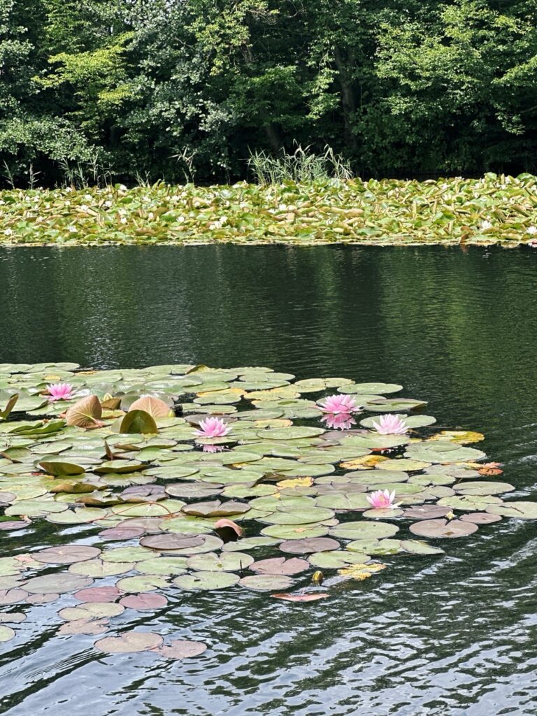Tivoli Park Ljubljana slovenia