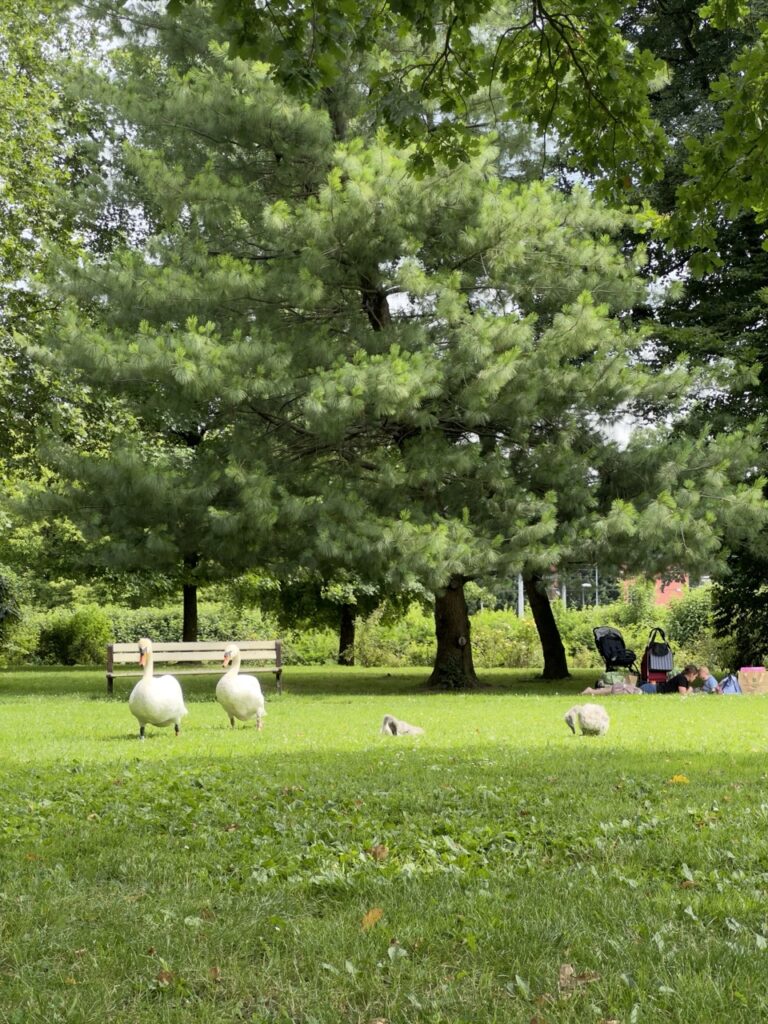 Tivoli Park Ljubljana slovenia