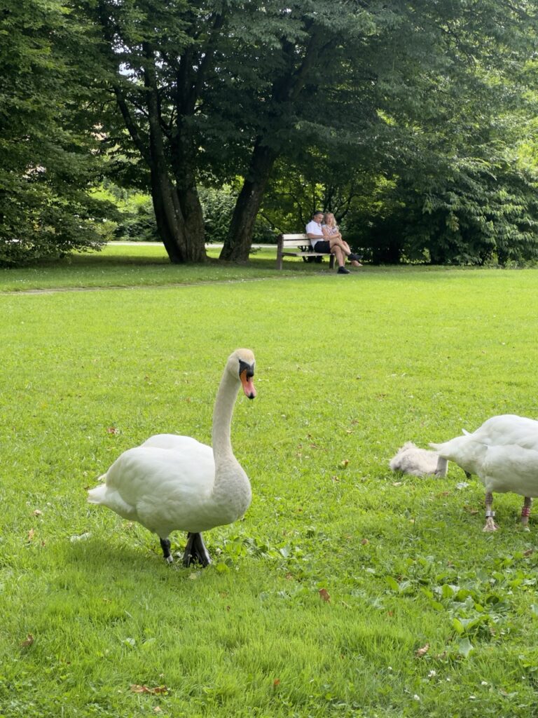 Tivoli Park Ljubljana slovenia