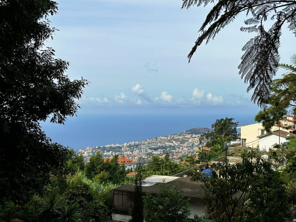 Tropical garden Funchal