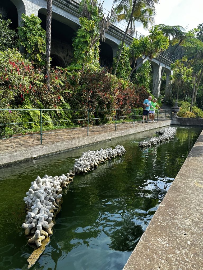 Tropical garden Funchal