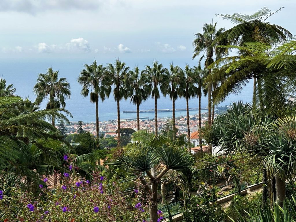 Tropical garden Funchal