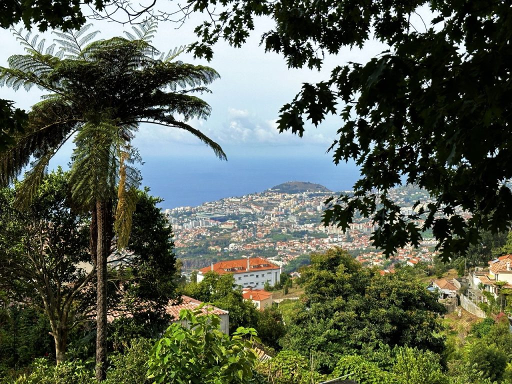 Tropical garden Funchal