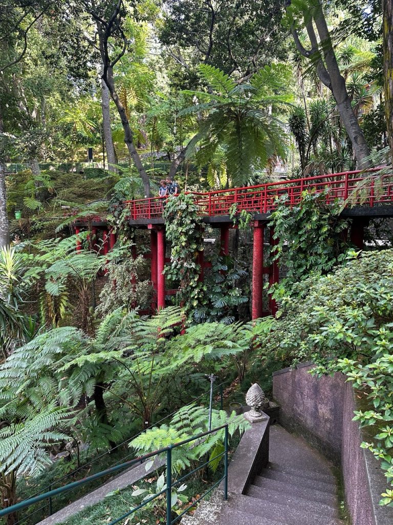 Tropical garden Funchal
