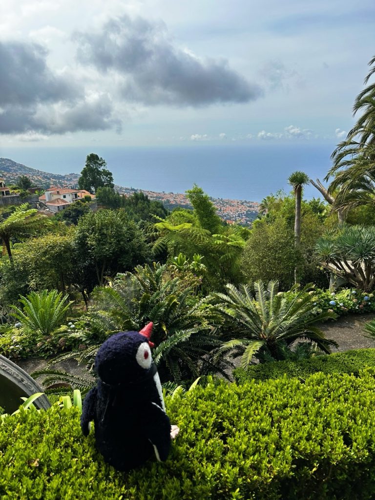 Tropical garden Funchal