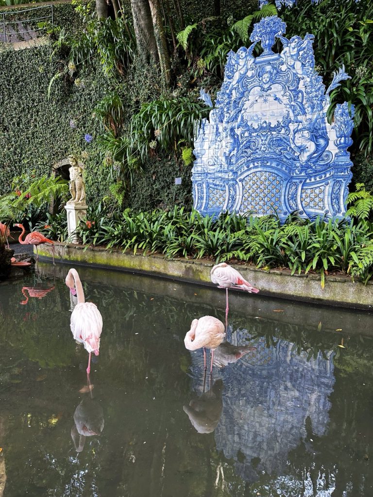 Tropical garden Funchal