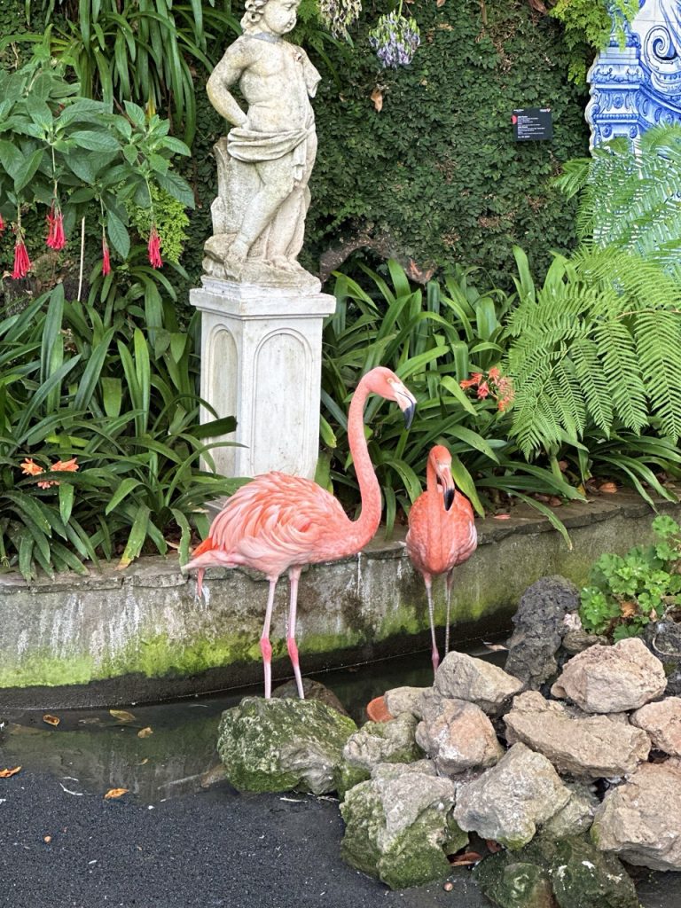Tropical garden Funchal
