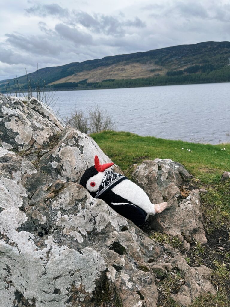 Urquhart Castle scotland Penguin stone
