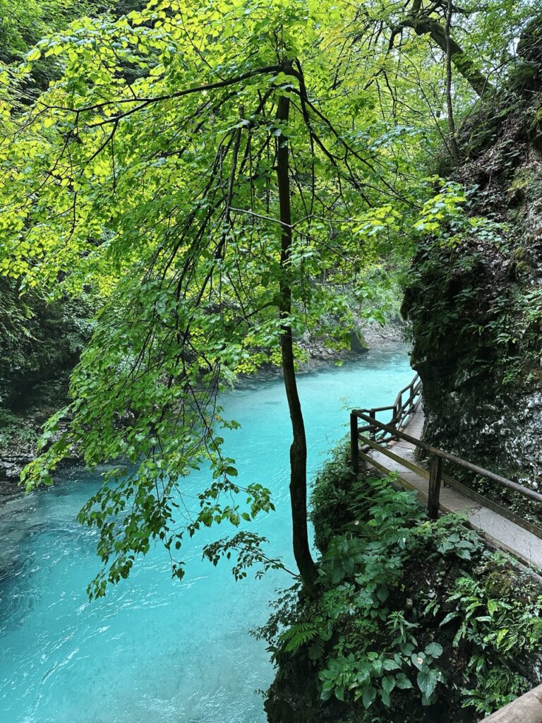 Vingtgar Gorge slovenia